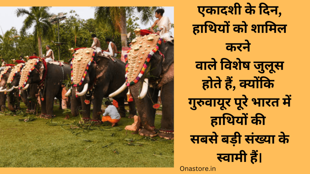 एकादशी के दिन, हाथियों को शामिल करने वाले विशेष जुलूस होते हैं, क्योंकि गुरुवायूर पूरे भारत में हाथियों की सबसे बड़ी संख्या के स्वामी हैं।