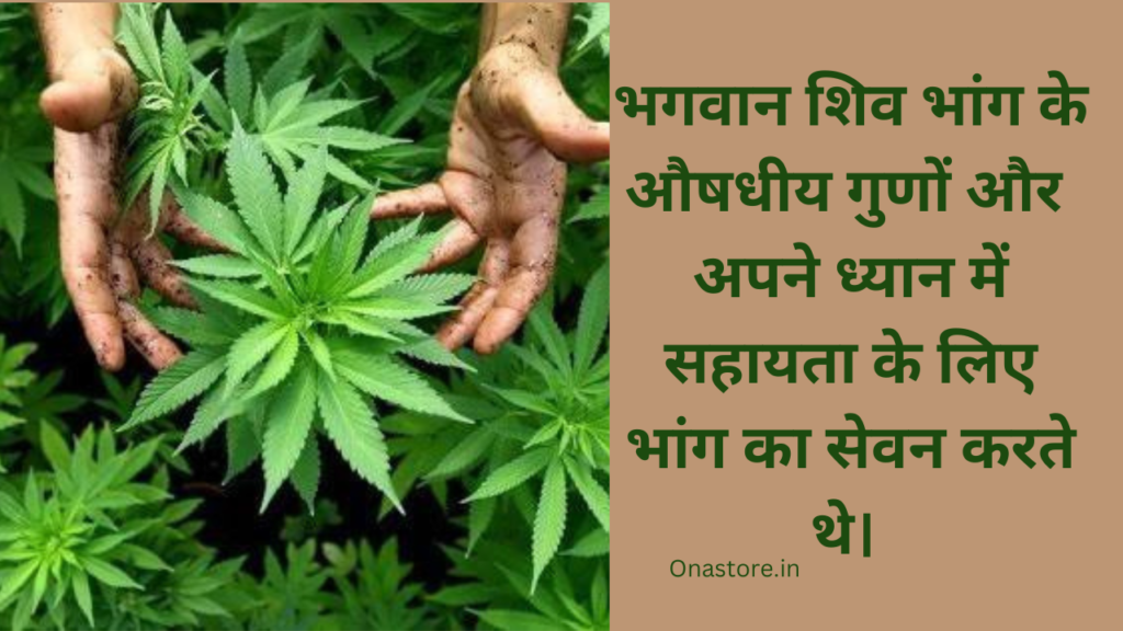 भगवान शिव भांग के औषधीय गुणों और अपने ध्यान में सहायता के लिए भांग का सेवन करते थे।