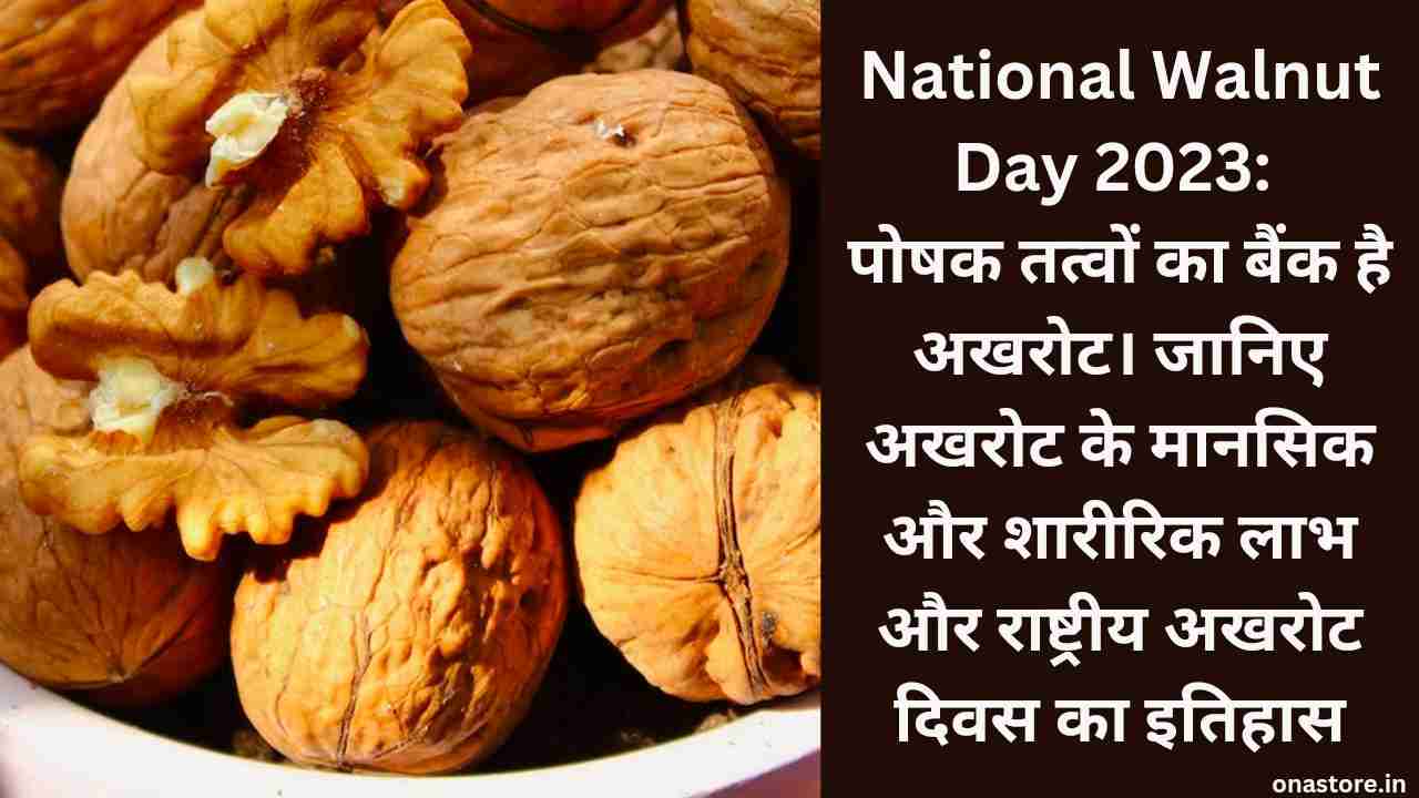 National Walnut Day 2023: पोषक तत्वों का बैंक है अखरोट। जानिए अखरोट के मानसिक और शारीरिक लाभ और राष्ट्रीय अखरोट दिवस का इतिहास