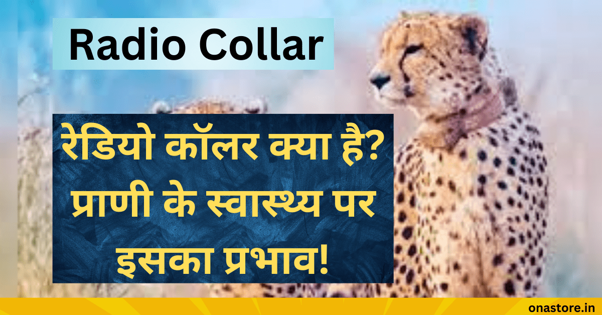 रेडियो कॉलर क्या है? | Radio Collar meaning in Hindi