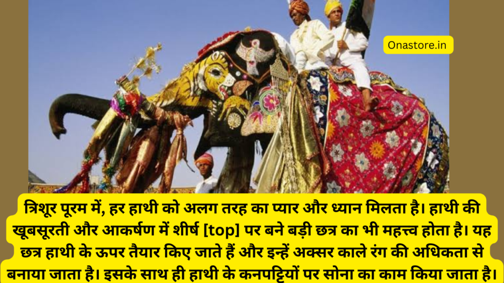 त्रिशूर पूरम में, हर हाथी को अलग तरह का प्यार और ध्यान मिलता है। हाथी की खूबसूरती और आकर्षण में शीर्ष [top] पर बने बड़ी छत्र का भी महत्त्व होता है। यह छत्र हाथी के ऊपर तैयार किए जाते हैं और इन्हें अक्सर काले रंग की अधिकता से बनाया जाता है। इसके साथ ही हाथी के कनपट्टियों पर सोना का काम किया जाता है।