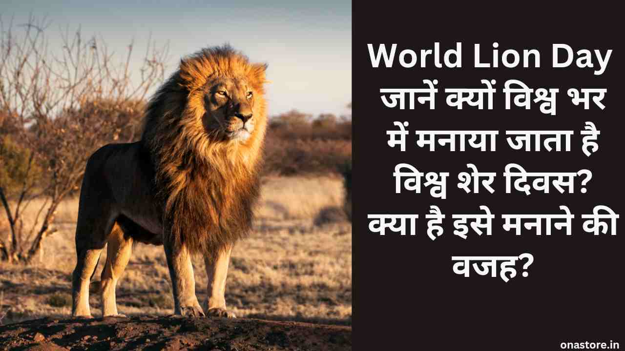 World Lion Day 2023: जानें क्यों विश्व भर में मनाया जाता है विश्व शेर दिवस? क्या है इसे मनाने की वजह?