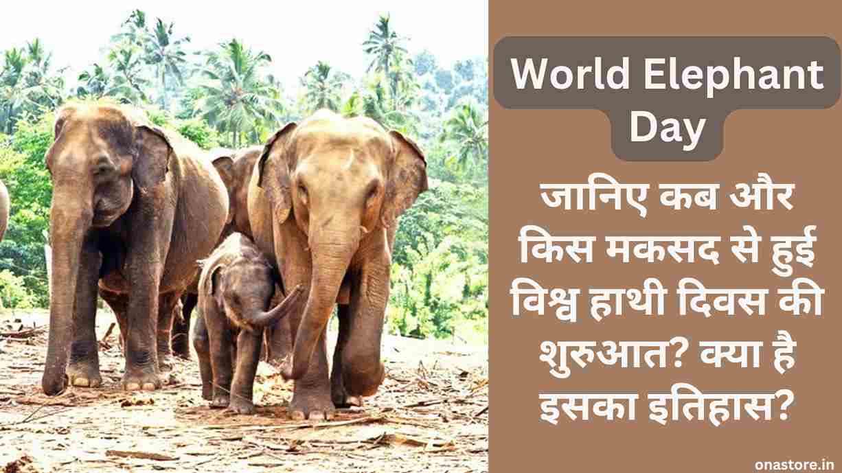 World Elephant Day 2023: जानिए कब और किस मकसद से हुई विश्व हाथी दिवस की शुरुआत? क्या है इसका इतिहास?