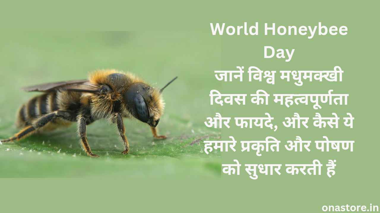 World Honeybee Day 2023: जानें विश्व मधुमक्खी दिवस की महत्वपूर्णता और फायदे, और कैसे ये हमारे प्रकृति और पोषण को सुधार करती हैं