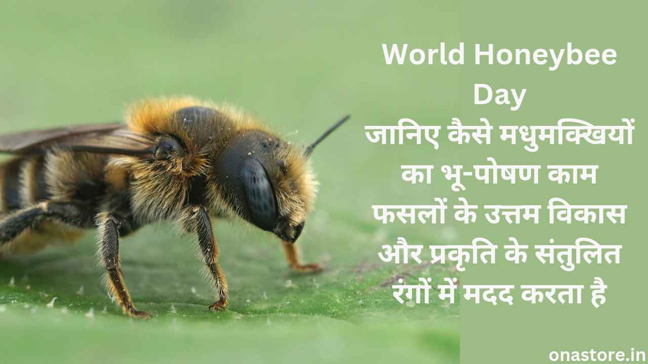 World Honeybee Day 2023: जानिए कैसे मधुमक्खियों का भू-पोषण काम फसलों के उत्तम विकास और प्रकृति के संतुलित रंगों में मदद करता है