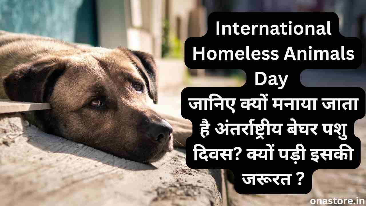 International Homeless Animals Day 2023: जानिए क्यों मनाया जाता है अंतर्राष्ट्रीय बेघर पशु दिवस? क्यों पड़ी इसकी जरूरत ?