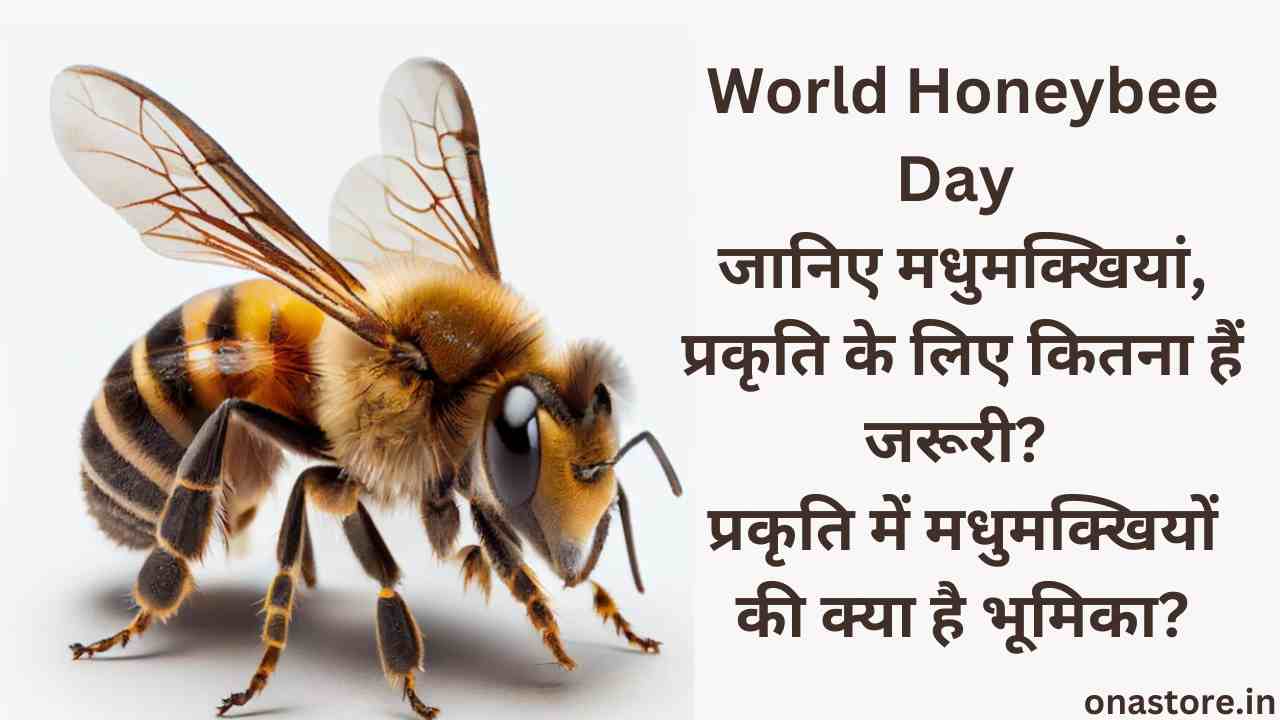 World Honeybee Day 2023: जानिए मधुमक्खियां प्रकृति के लिए कितना जरूरी हैं?प्रकृति में मधुमक्खियों की क्या है भूमिका?