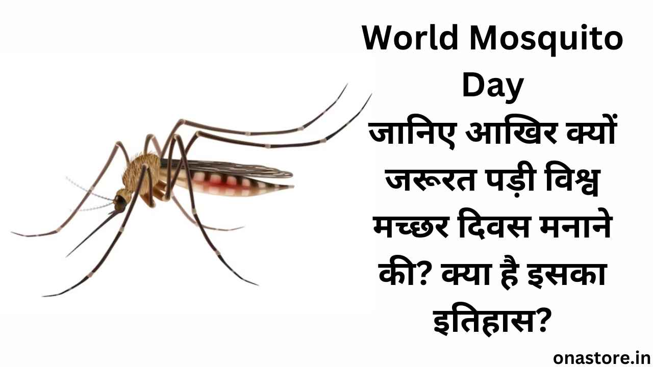 World Mosquito Day 2023: जानिए आखिर क्यों जरूरत पड़ी विश्व मच्छर दिवस मनाने की? क्या है इसका इतिहास