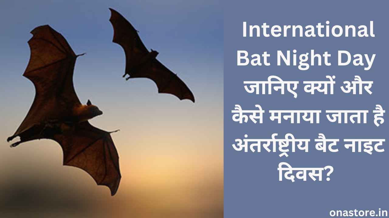 International Bat Night Day 2023: जानिए क्यों और कैसे मनाया जाता है अंतर्राष्ट्रीय बैट नाइट दिवस?