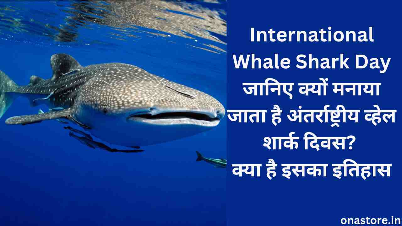 International Whale Shark Day 2024: जानिए क्यों मनाया जाता है अंतर्राष्ट्रीय व्हेल शार्क दिवस? क्या है इसका इतिहास?