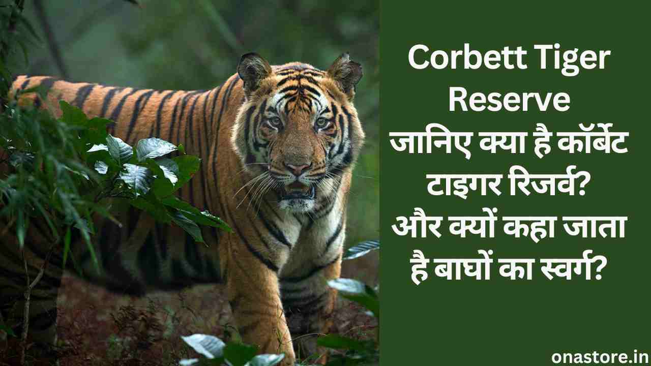 Corbett Tiger Reserve: जानिए क्या है कॉर्बेट टाइगर रिजर्व और क्यों कहा जाता है बाघों का स्वर्ग?
